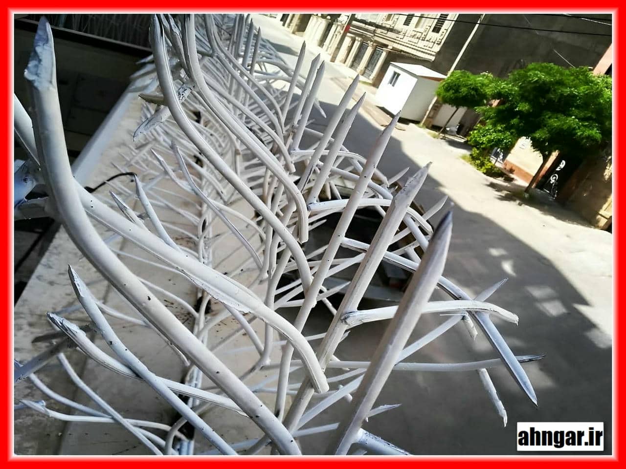 کاربردهای حفاظ شاخ گوزنی