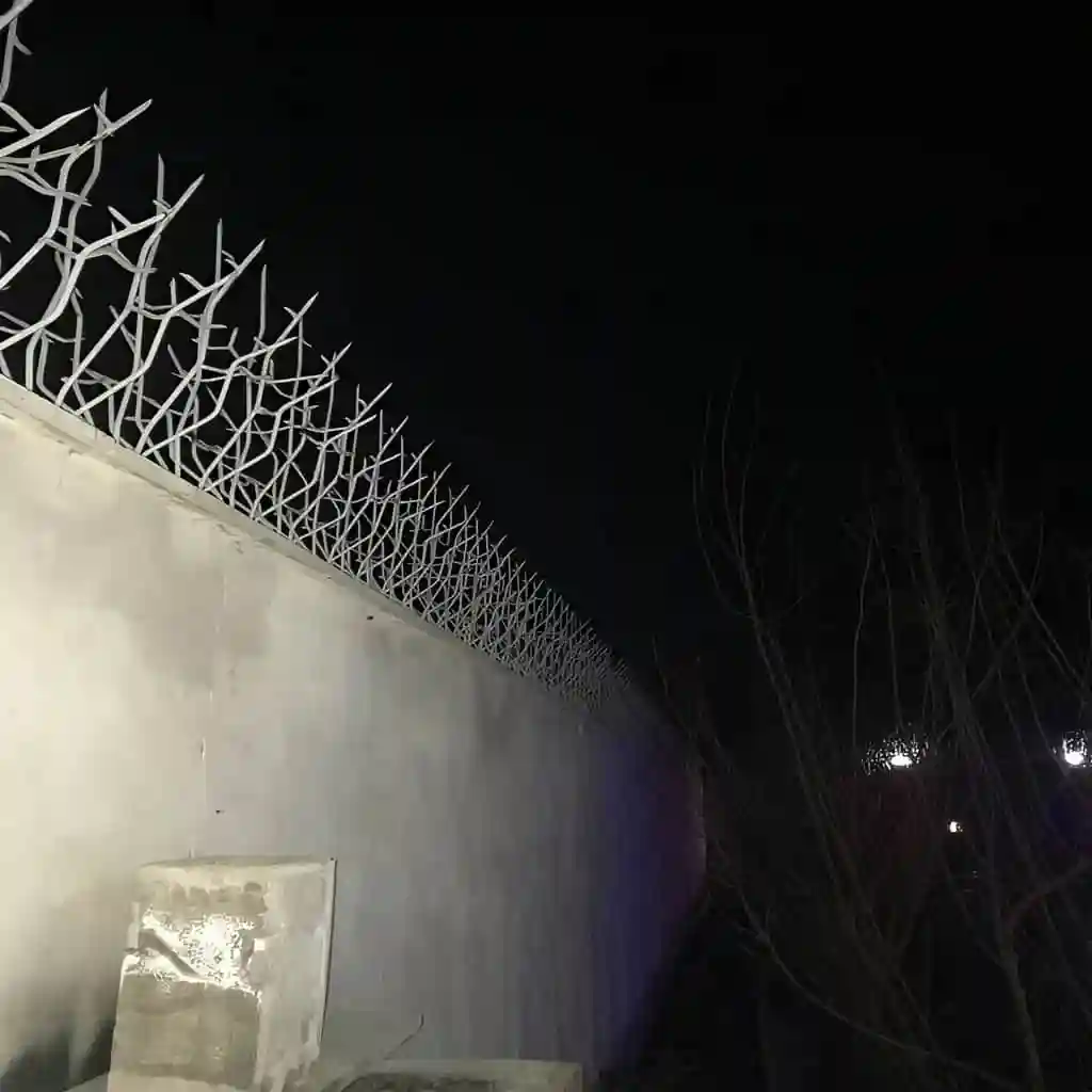 حفاظ امنیتی اقتصادی