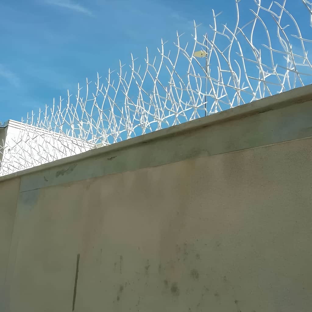 حفاظ امنیتی دیوار