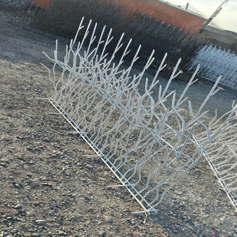 حفاظ شاخ گوزنی تراکم ۳۱ میلگرد ۸ اقتصادی – 8 حفاظ شاخ گوزنی تراکم 31