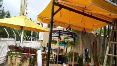 سایبان برقی اتوماتیک در اشتهارد