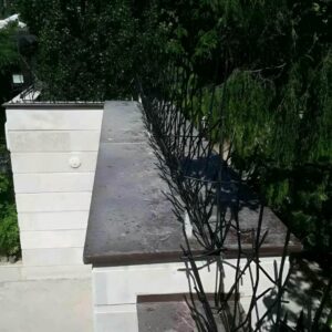 حفاظ شاخ گوزنی دیواری در سیرجان