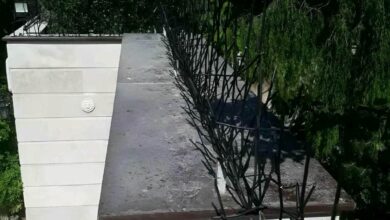 حفاظ شاخ گوزنی دیواری در سیرجان