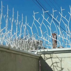 حفاظ شاخ گوزنی دیواری در عظیمیه کرج