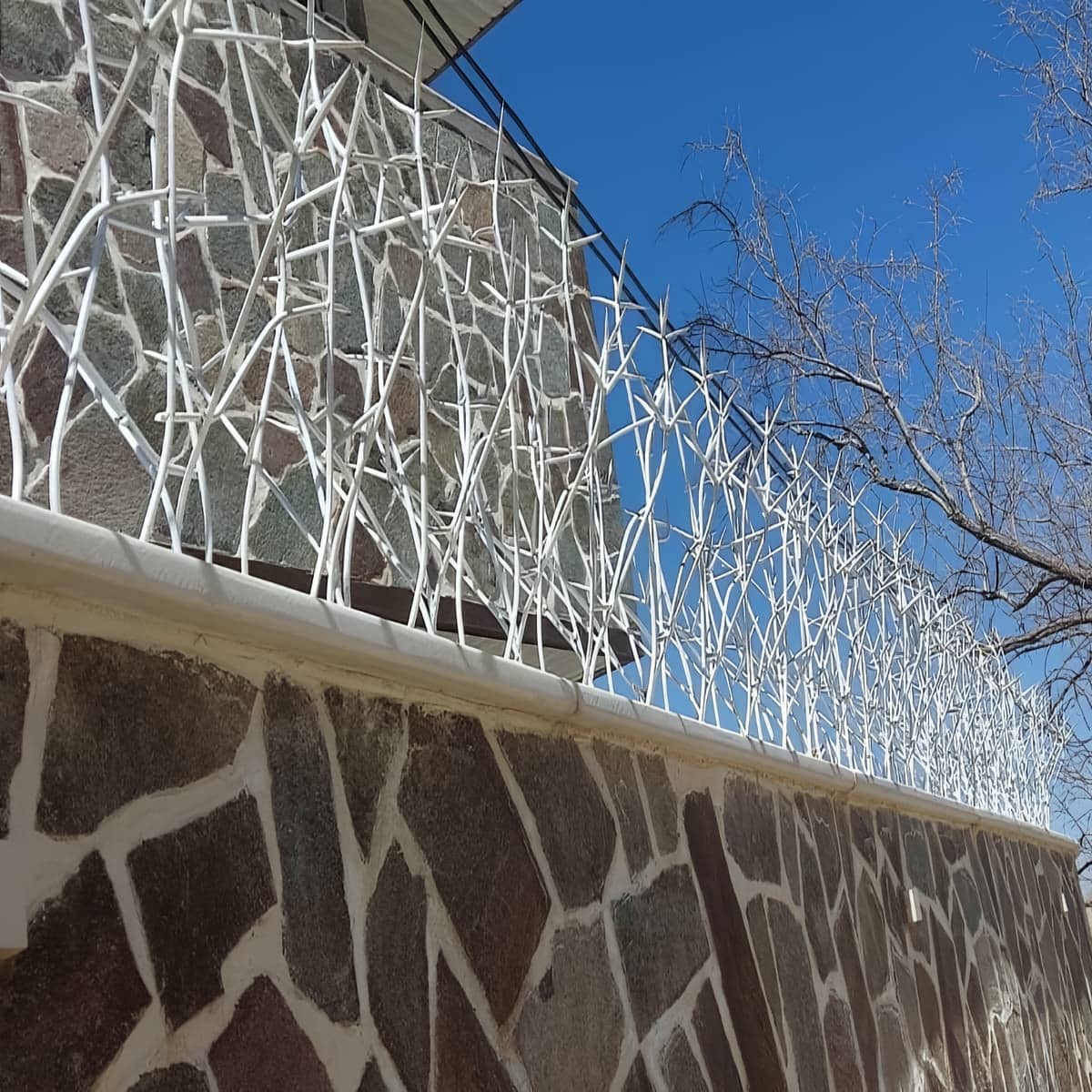 حفاظ شاخ گوزنی در اردبیل