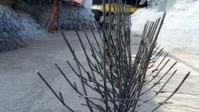 حفاظ شاخ گوزنی در خرم آباد