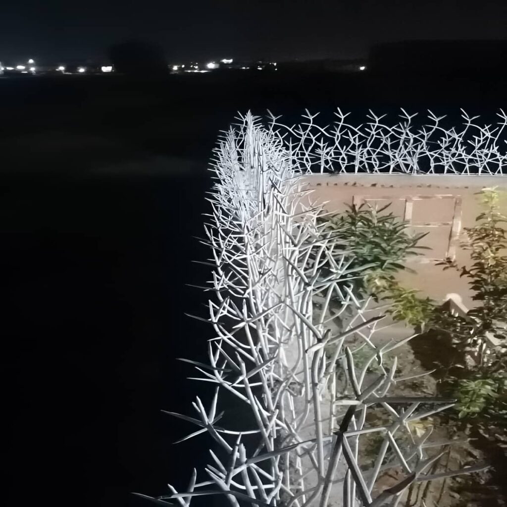 نصب حفاظ شاخ گوزنی نرده دیوار در کاشان