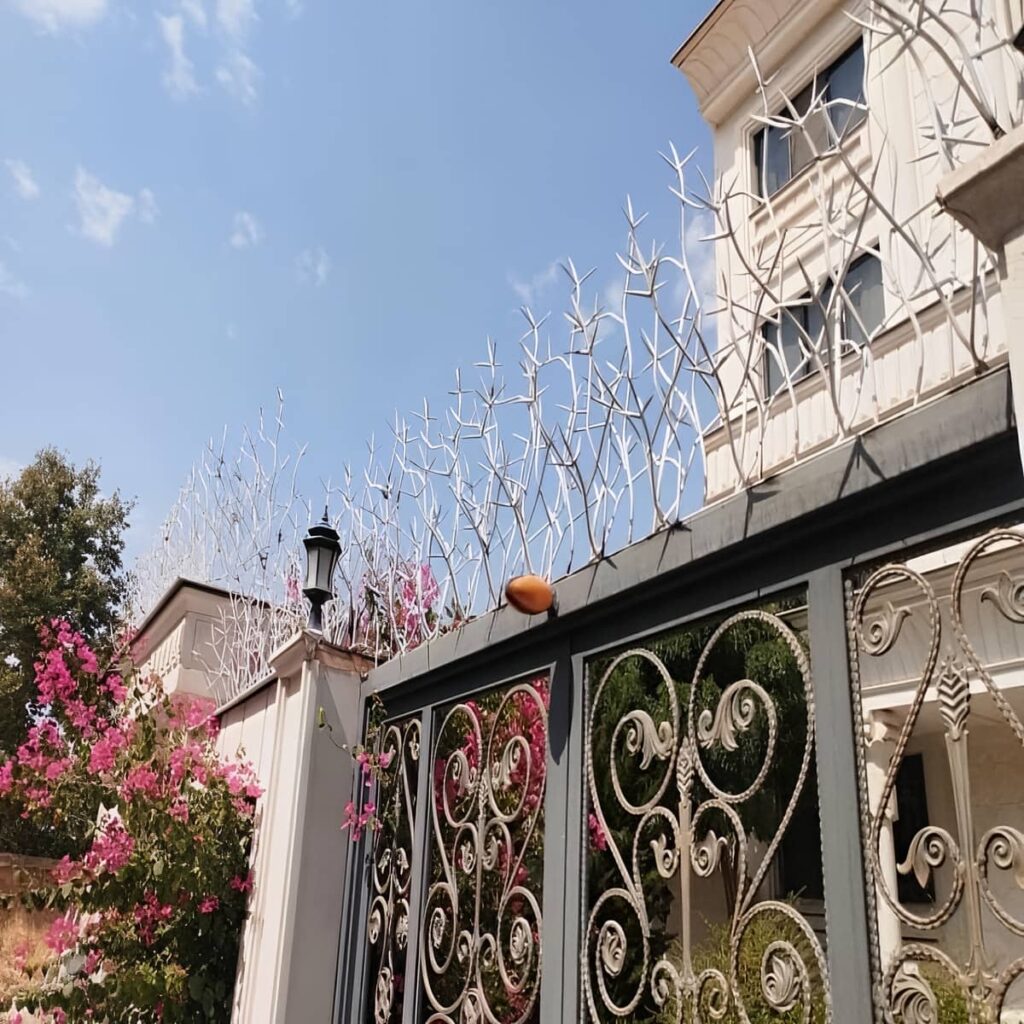 خرید حفاظ شاخ گوزنی دیواری کلاسیک در بندر دیلم