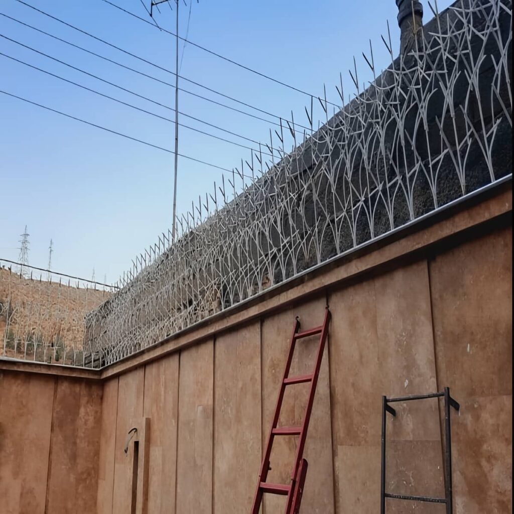 خرید حفاظ شاخ گوزنی دیواری مدل کلاسیک در کمال شهر