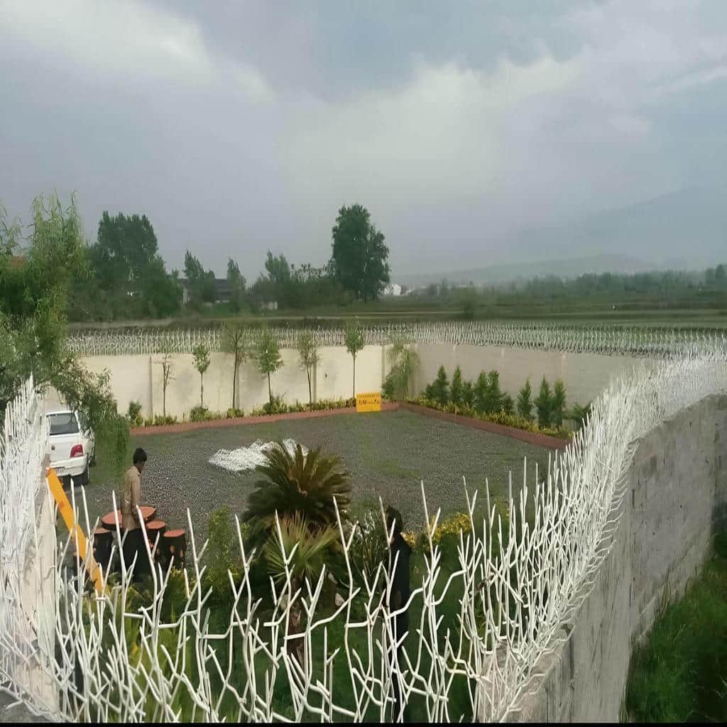 حفاظ شاخ گوزنی دیواری در اندیشه