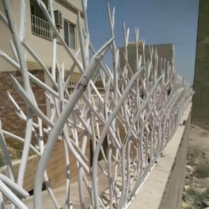 حفاظ شاخ گوزنی در استان خوزستان