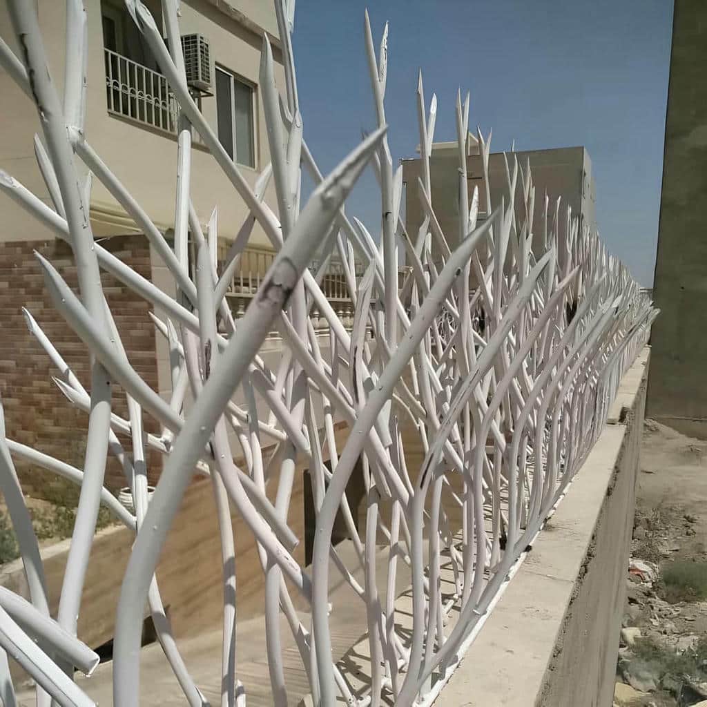 حفاظ شاخ گوزنی در استان خوزستان