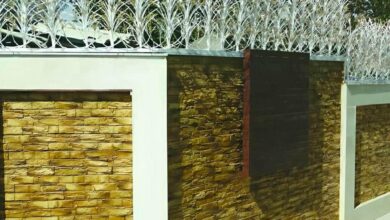 حفاظ شاخ گوزنی دیواری در بندر دیلم
