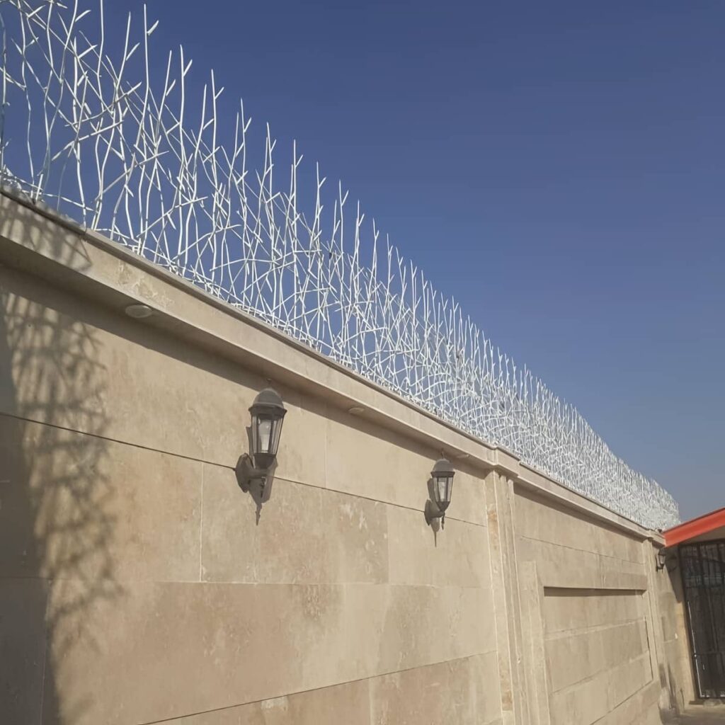 حفاظ شاخ گوزنی در زاهدان