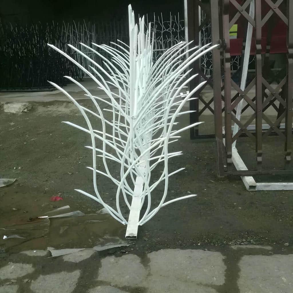 حفاظ شاخ گوزنی دیواری در مریوان