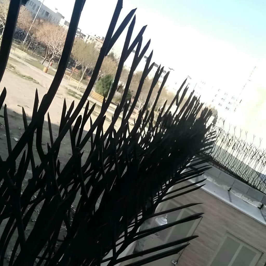 خرید حفاظ شاخ گوزنی دیواری کلاسیک در کیش