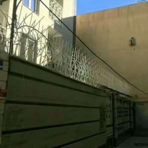 حفاظ شاخ گوزنی دیواری در کیش