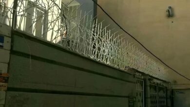 حفاظ شاخ گوزنی دیواری در کیش