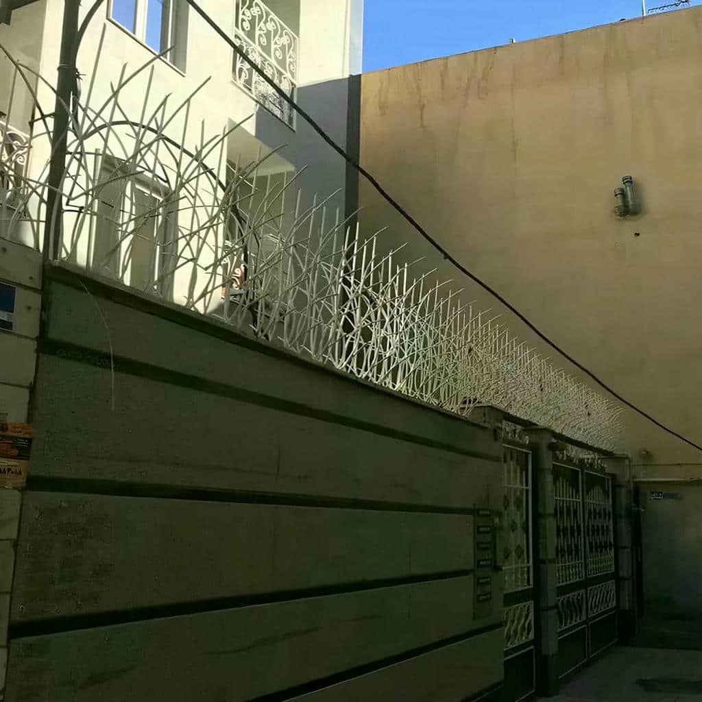 حفاظ شاخ گوزنی دیواری در کیش