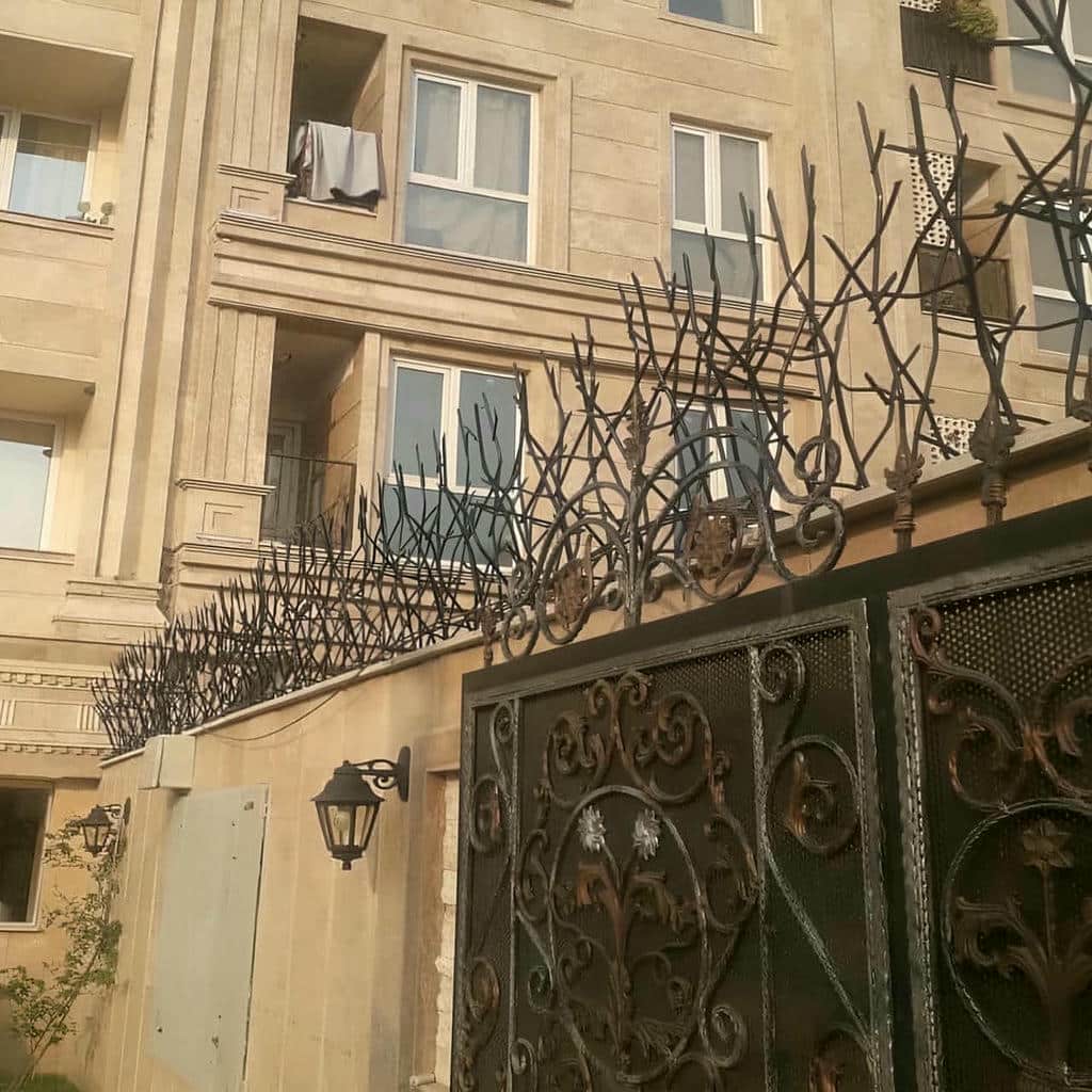 حفاظ شاخ گوزنی در استان گلستان