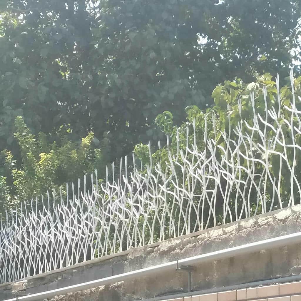 فروش حفاظ شاخ گوزنی تراکم شاخه‌ها در استان خوزستان