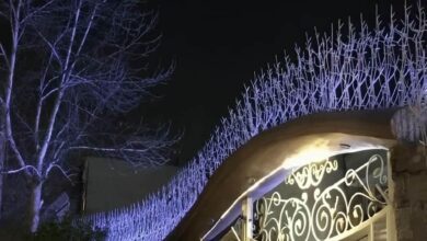 حفاظ شاخ گوزنی در کرمان