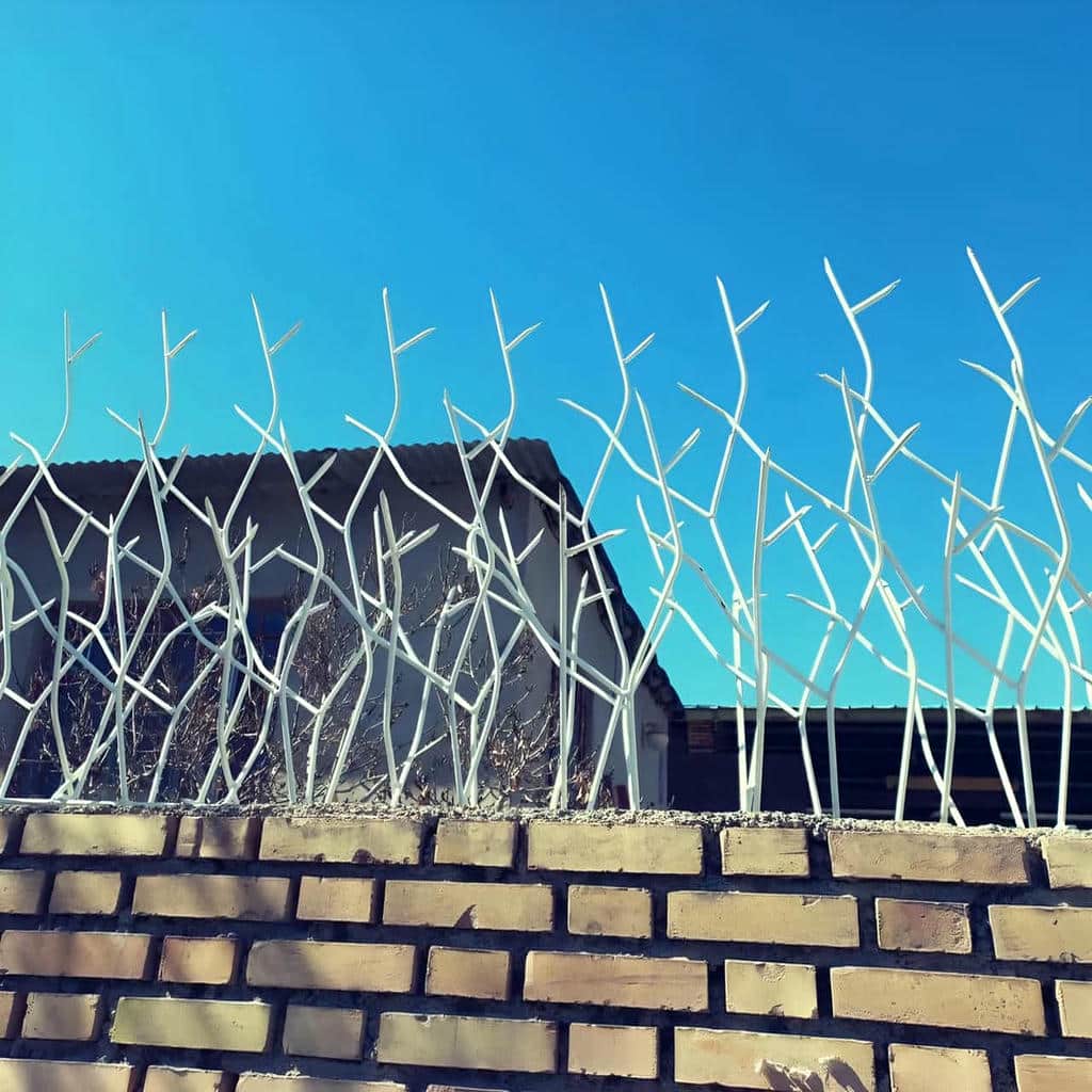 خرید حفاظ شاخ گوزنی دیواری طرح کلاسیک در سقز