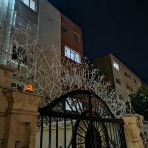 حفاظ شاخ گوزنی دیواری در آبادان