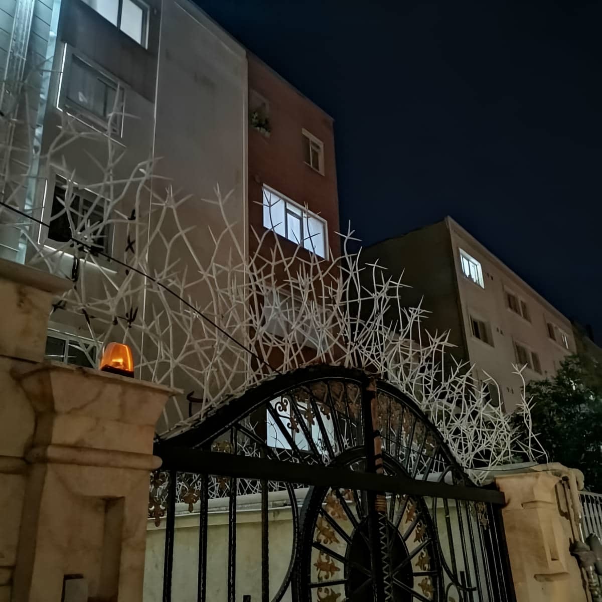 حفاظ شاخ گوزنی دیواری در آبادان