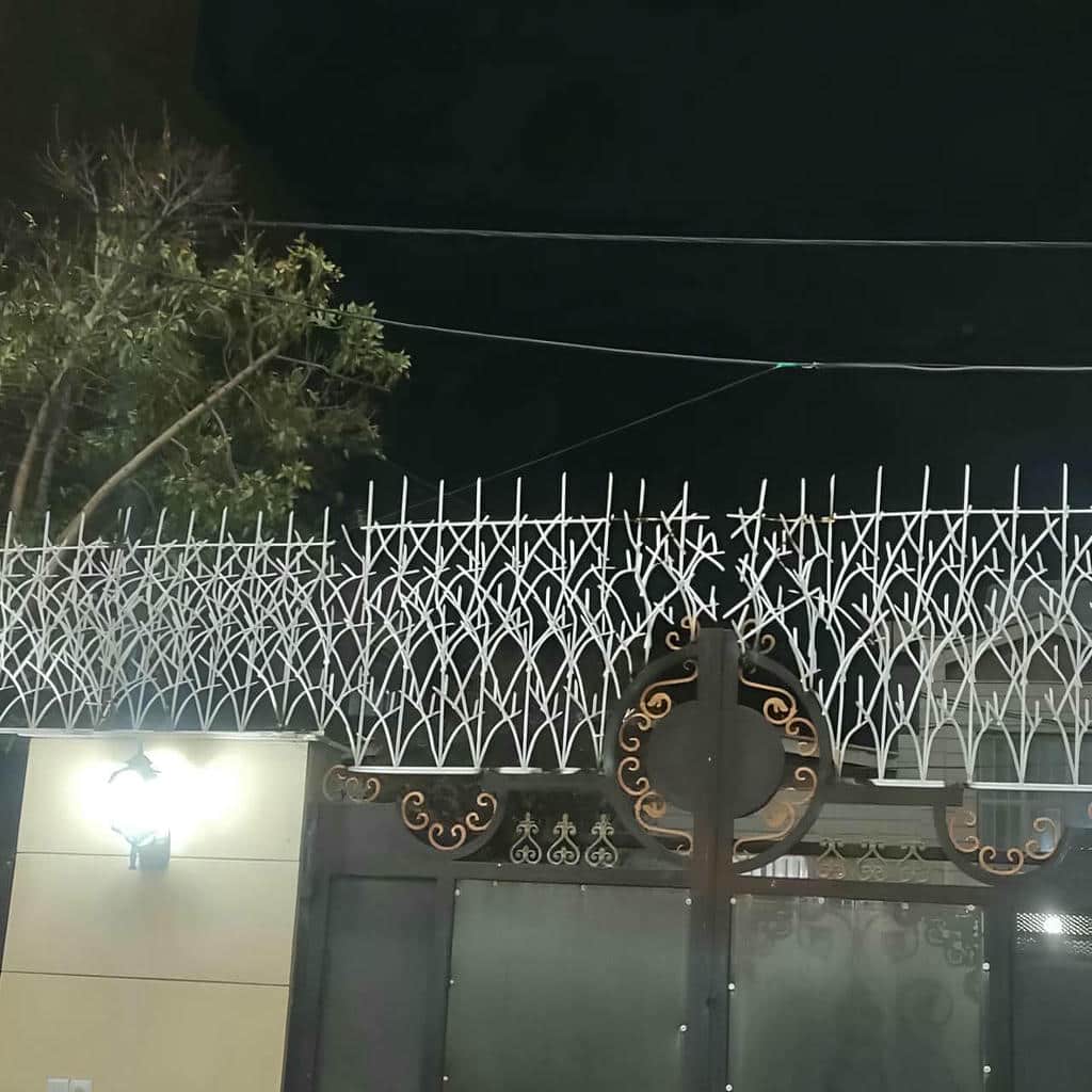 خرید حفاظ شاخ گوزنی شاخه‌ای در زاهدان