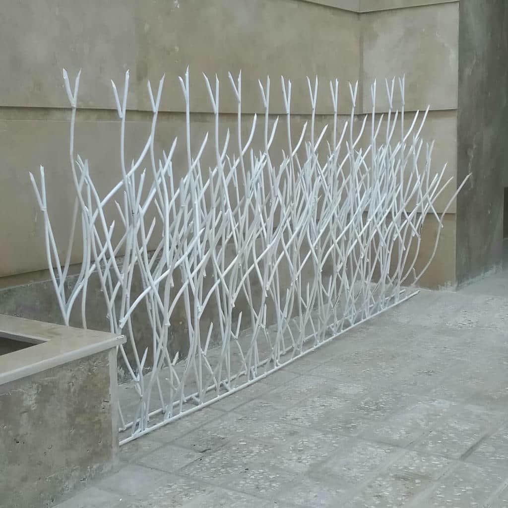 حفاظ شاخ گوزنی در ساری