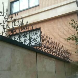 حفاظ شاخ گوزنی دیواری در قم