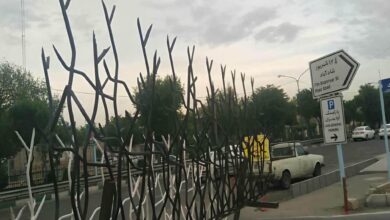 حفاظ شاخ گوزنی دیواری در شهرکرد