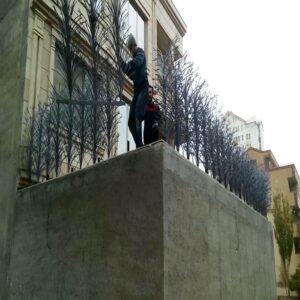 حفاظ شاخ گوزنی دیواری در فردیس کرج
