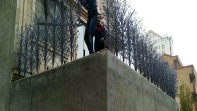 حفاظ شاخ گوزنی دیواری در فردیس کرج