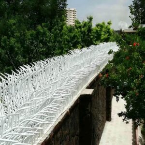 حفاظ شاخ گوزنی دیواری در سنندج