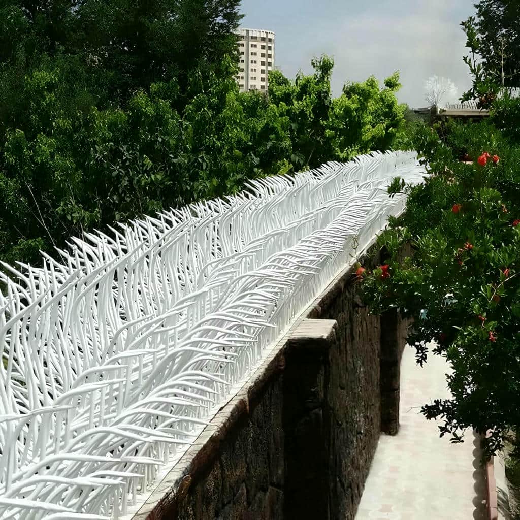 حفاظ شاخ گوزنی دیواری در سنندج
