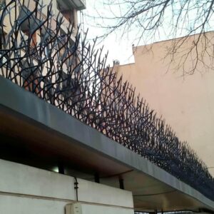 حفاظ شاخ گوزنی دیواری در مهرشهر کرج