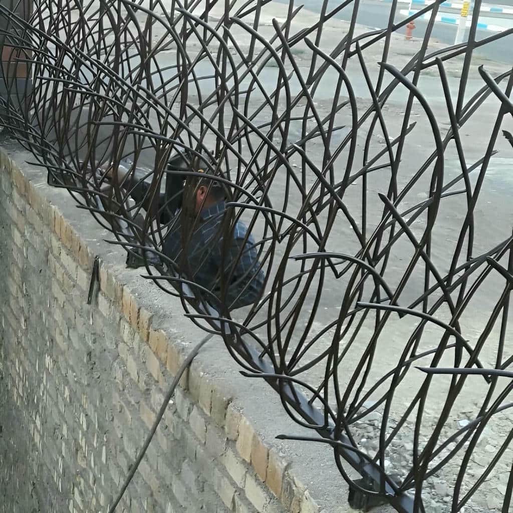 حفاظ شاخ گوزنی در رشت