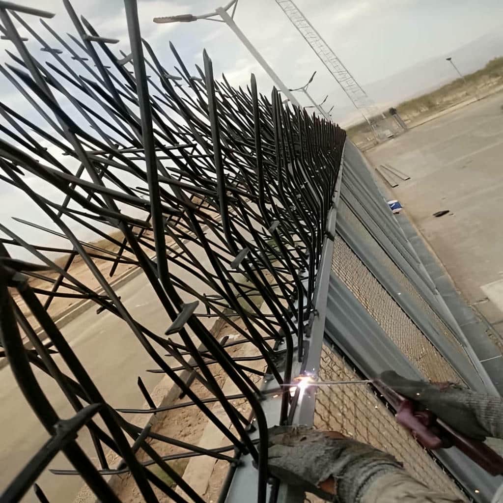 نصب حفاظ شاخ گوزنی دیواری ارتفاع استاندارد در طالقان