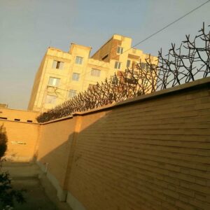 حفاظ شاخ گوزنی دیواری در سقز