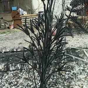 حفاظ شاخ گوزنی دیواری در فیروزکوه