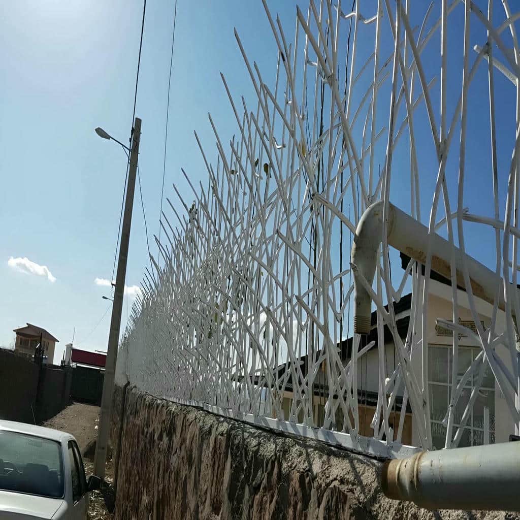 نصب حفاظ شاخ گوزنی دیواری ارتفاع استاندارد در آبسرد