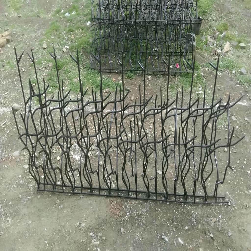 حفاظ شاخ گوزنی در محمودآباد