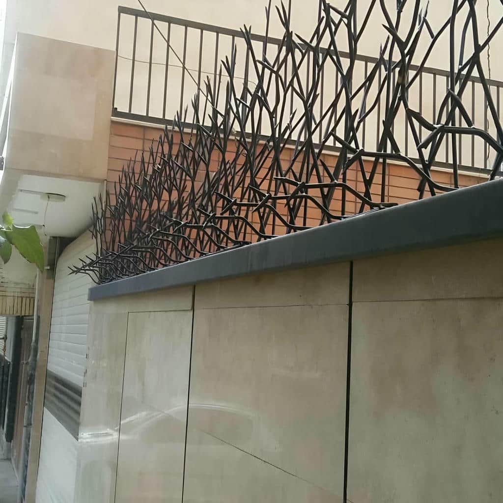فروش حفاظ شاخ گوزنی دیواری مدل سفارشی در بومهن
