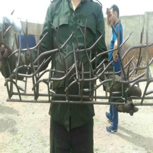 حفاظ شاخ گوزنی دیواری در کرج