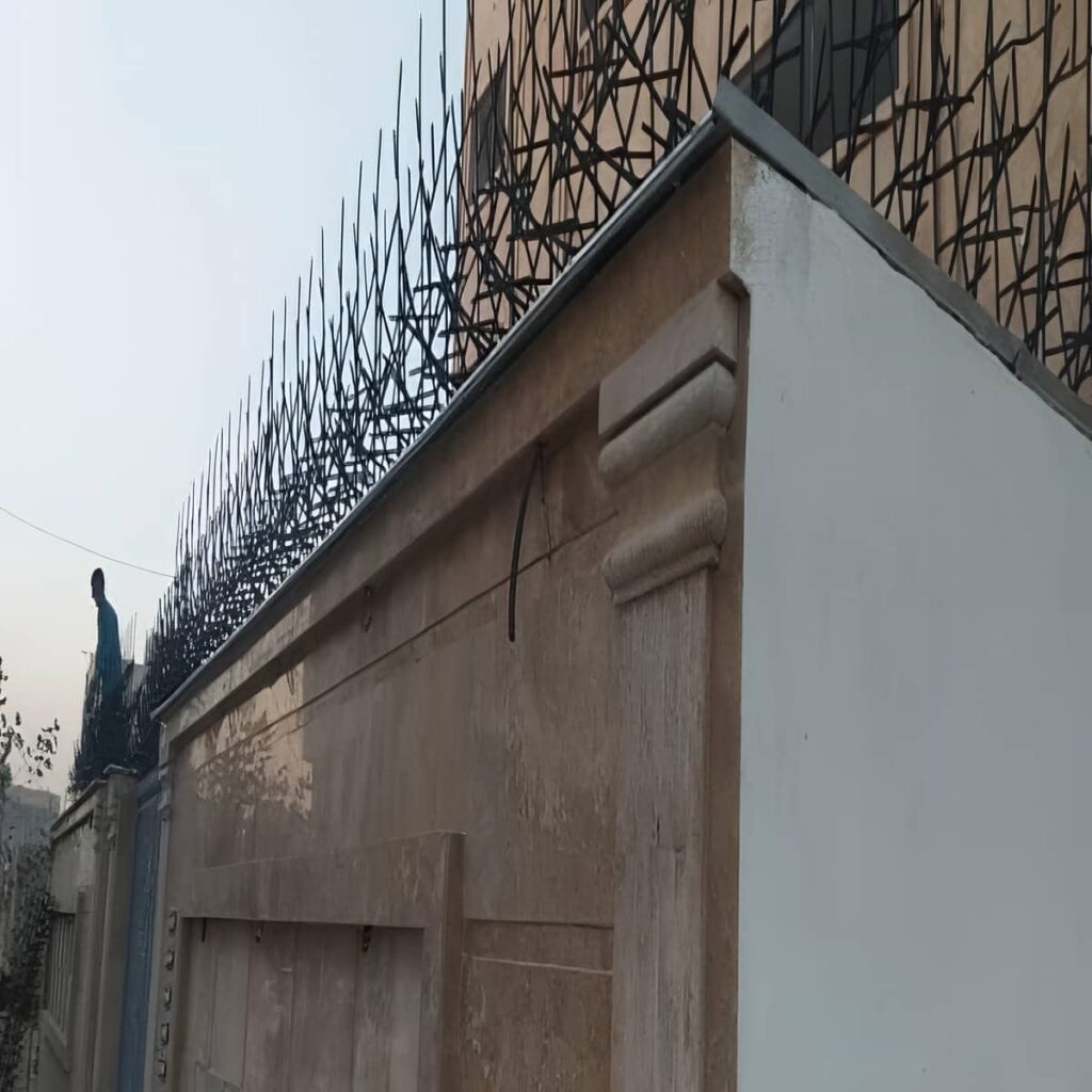فروش حفاظ شاخ گوزنی تراکم شاخه‌ها در استان گلستان