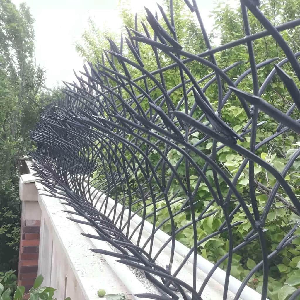 خرید حفاظ شاخ گوزنی دیواری مدل کلاسیک در محمدشهر