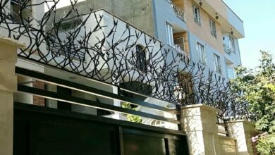 حفاظ شاخ گوزنی دیواری در بوشهر