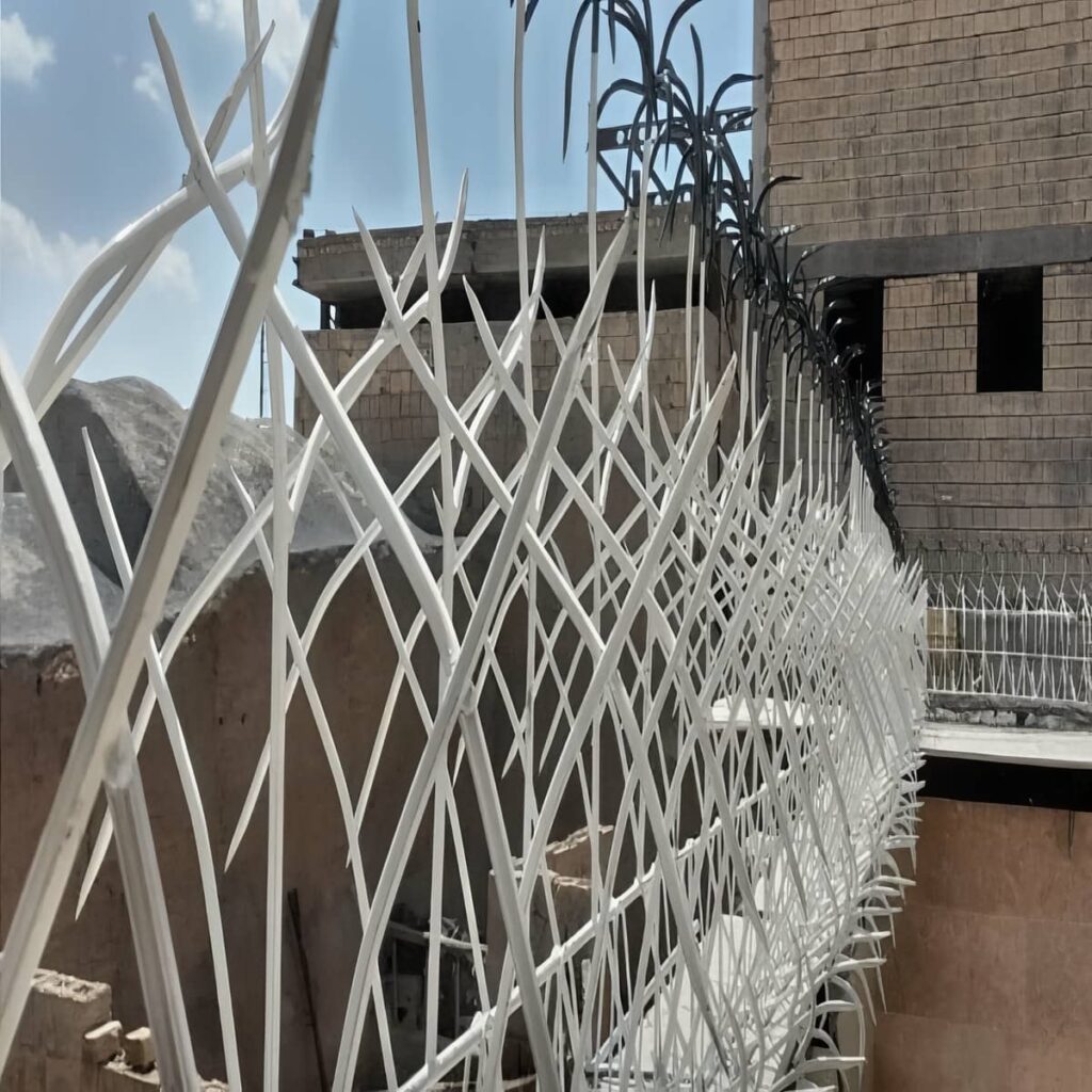 نصب حفاظ شاخ گوزنی دیواری نوع رنگ در رفسنجان